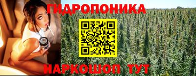 винт Будённовск